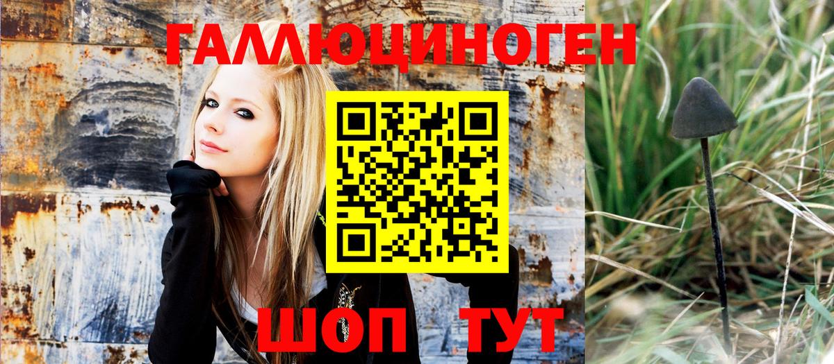 Галлюциногенные грибы Magic Shrooms  Вход с VPN  Галлюциногенные грибы GOLDEN TEACHER  где найти   Котовск 